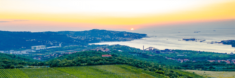 Photo of a sunset over Rado Kocjančič vineyards, hills, and ocean