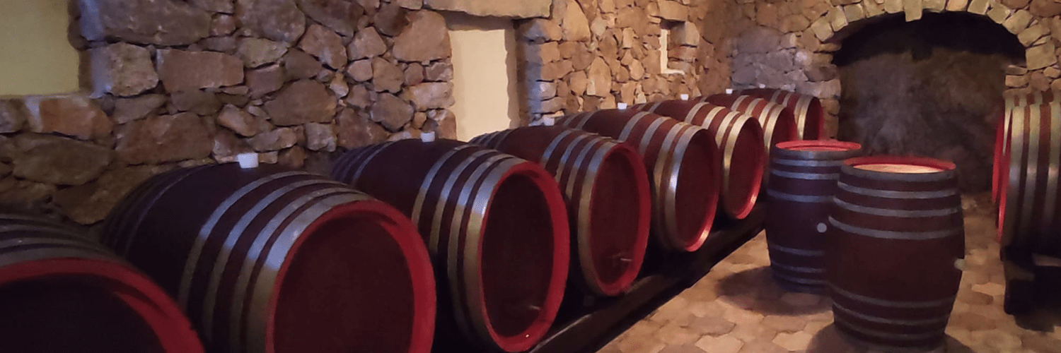 Photo of wine barrels in the Osvaldo Soddu cellar